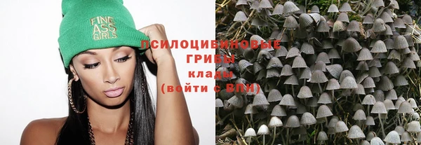 дурь Переславль-Залесский